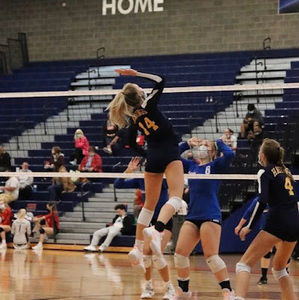 Meet your Posher, Audrey